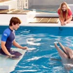 Dolphin Tale 2: Families Will Fall In Love Again