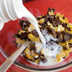 Chocolate-Coconut Macaroons with Honey Bunches of Oats Chocolate